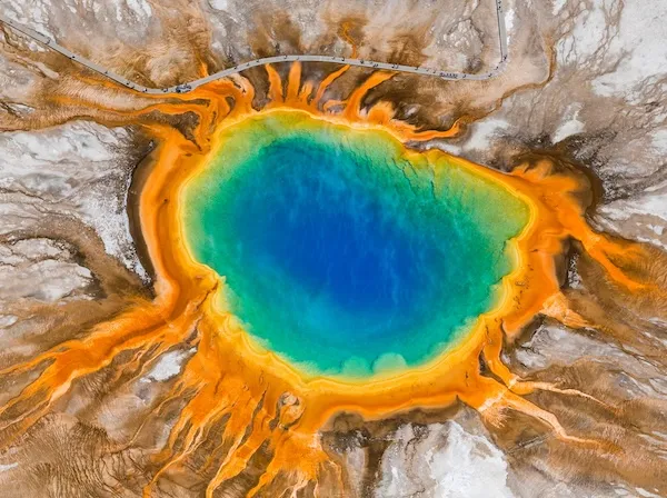 Scientists think the most extreme beings on Earth can help save human lives | Popular Mechanics