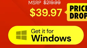 Microsoft Office Professional 2021 for Windows: Lifetime License