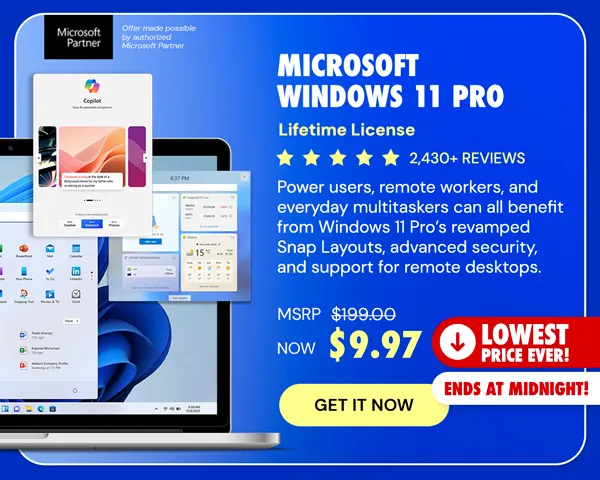 Microsoft Windows 11 Pro