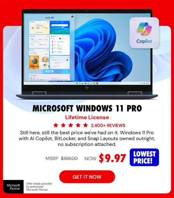 Microsoft Windows 11 Pro