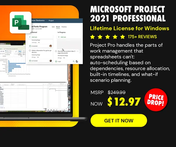 Microsoft Project 2021 Professional: Lifetime License for Windows