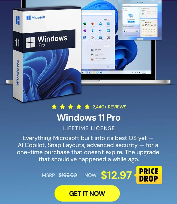 Microsoft Windows 11 Pro