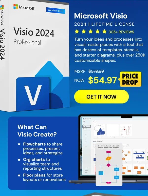 Microsoft Visio Professional 2024: Lifetime License for Windows