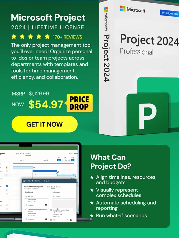 Microsoft Project Professional 2024: Lifetime License for Windows