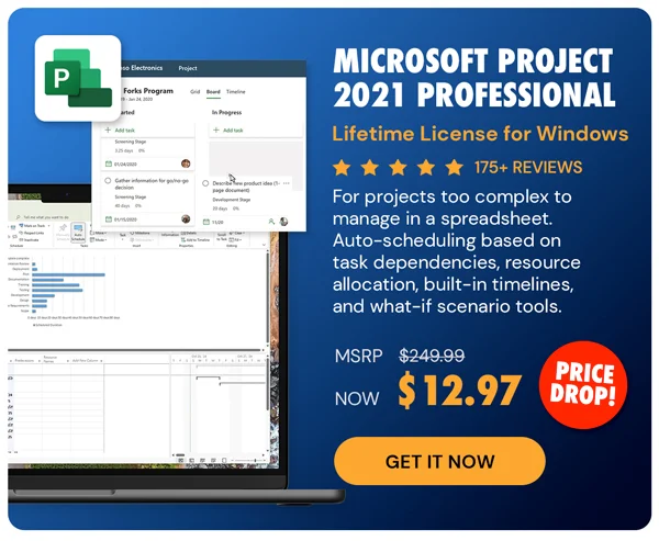 Microsoft Project 2021 Professional: Lifetime License for Windows
