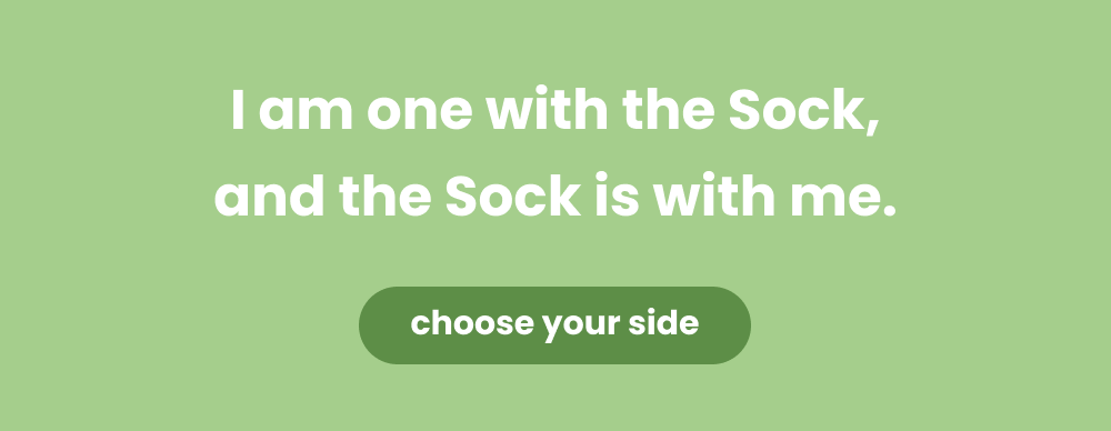 squid socks 