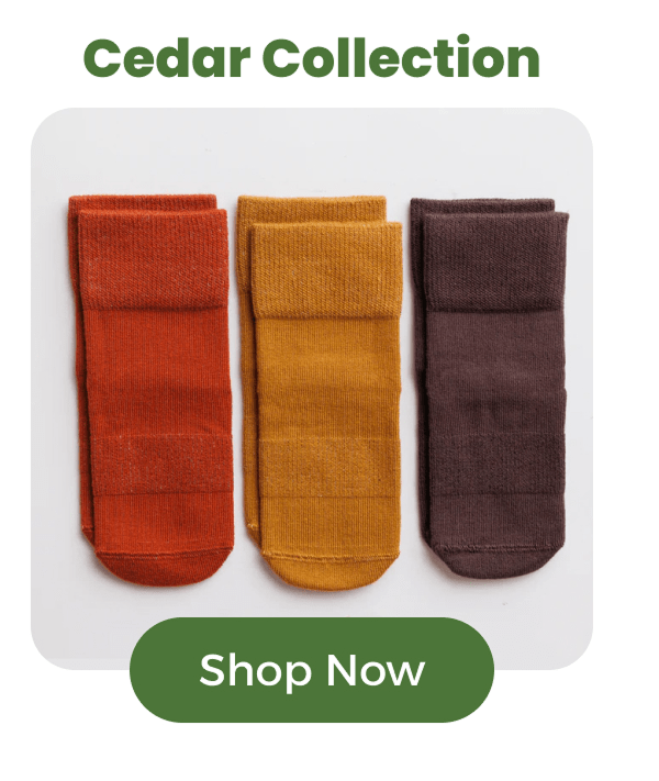 Cedar Collection [SHOP NOW]