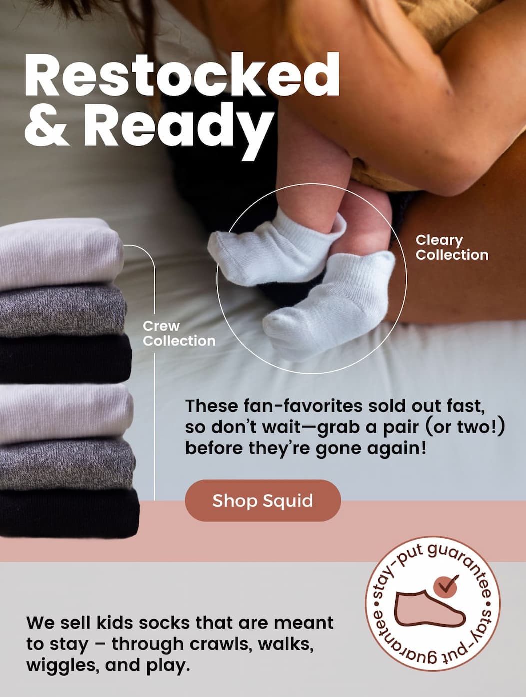 Restocked & Ready  [SHOP Squid]