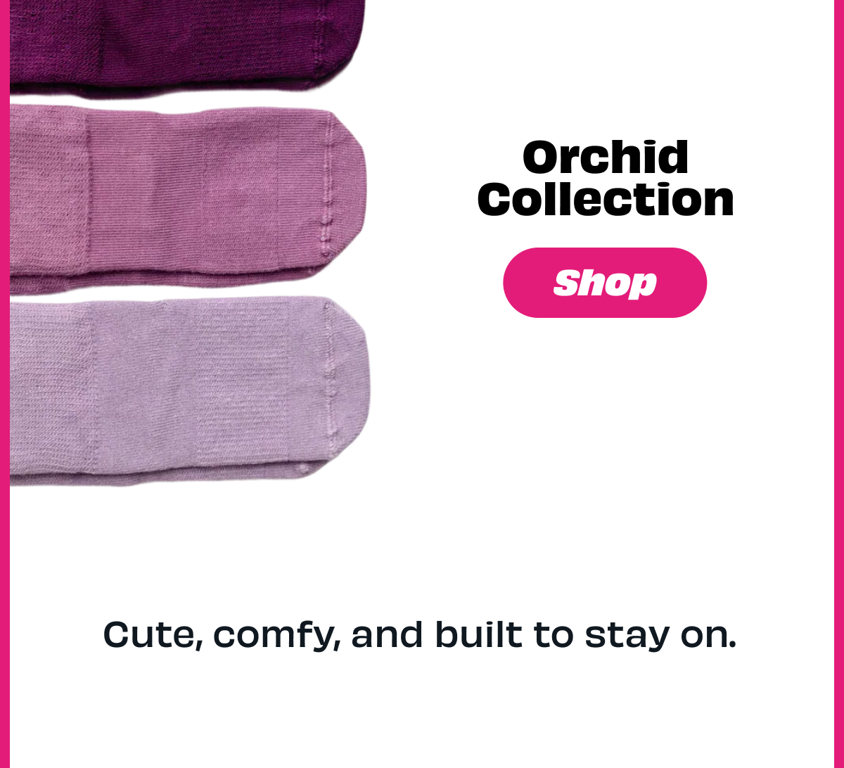 Orchid Collection