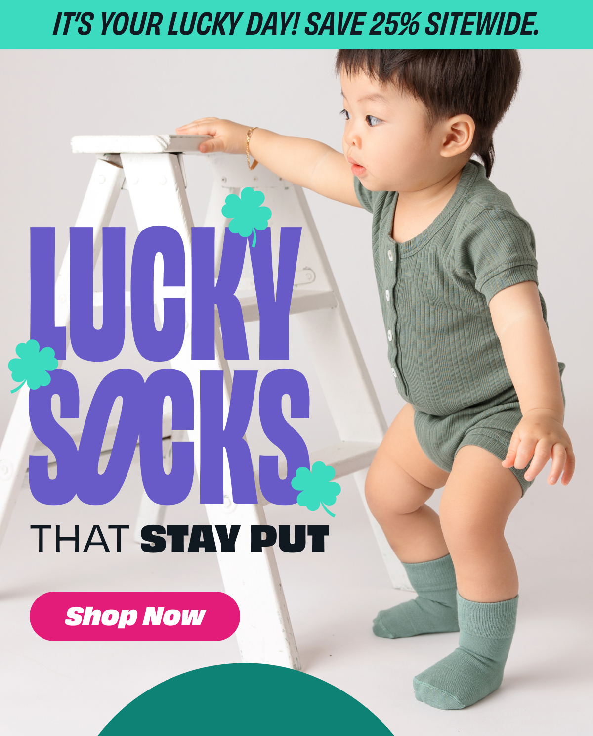 Spring Savings - 25% Off