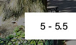 5-5.5