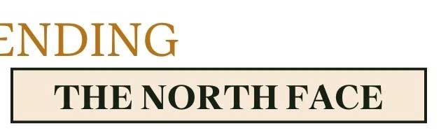 the north face