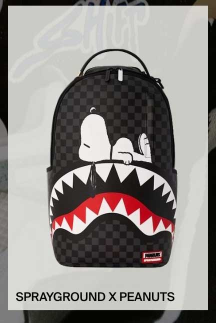 sprayground