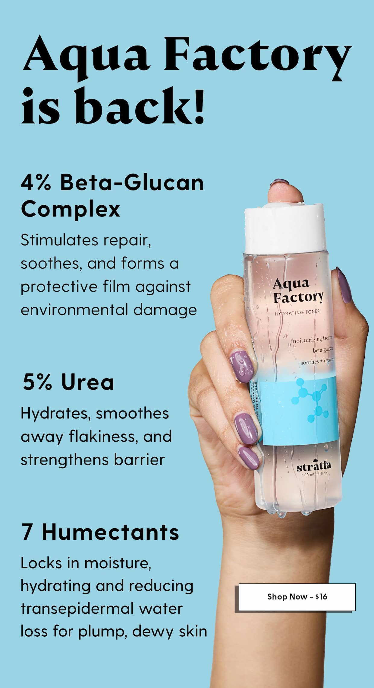  Aqua Factory is Back in Stock!