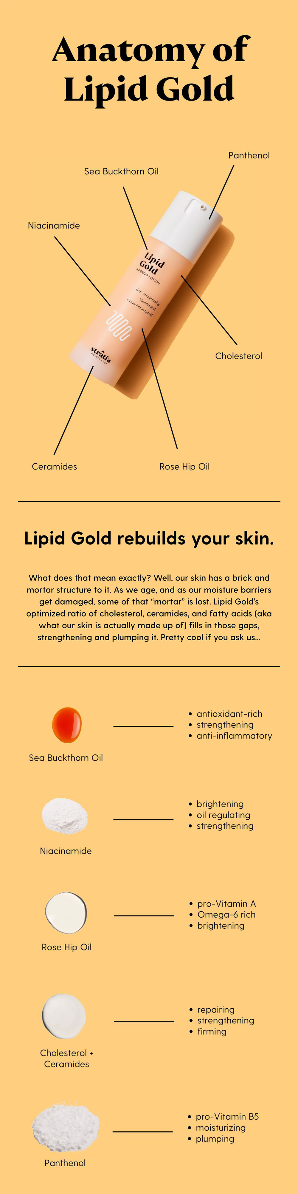Anatomy of Lipid Gold