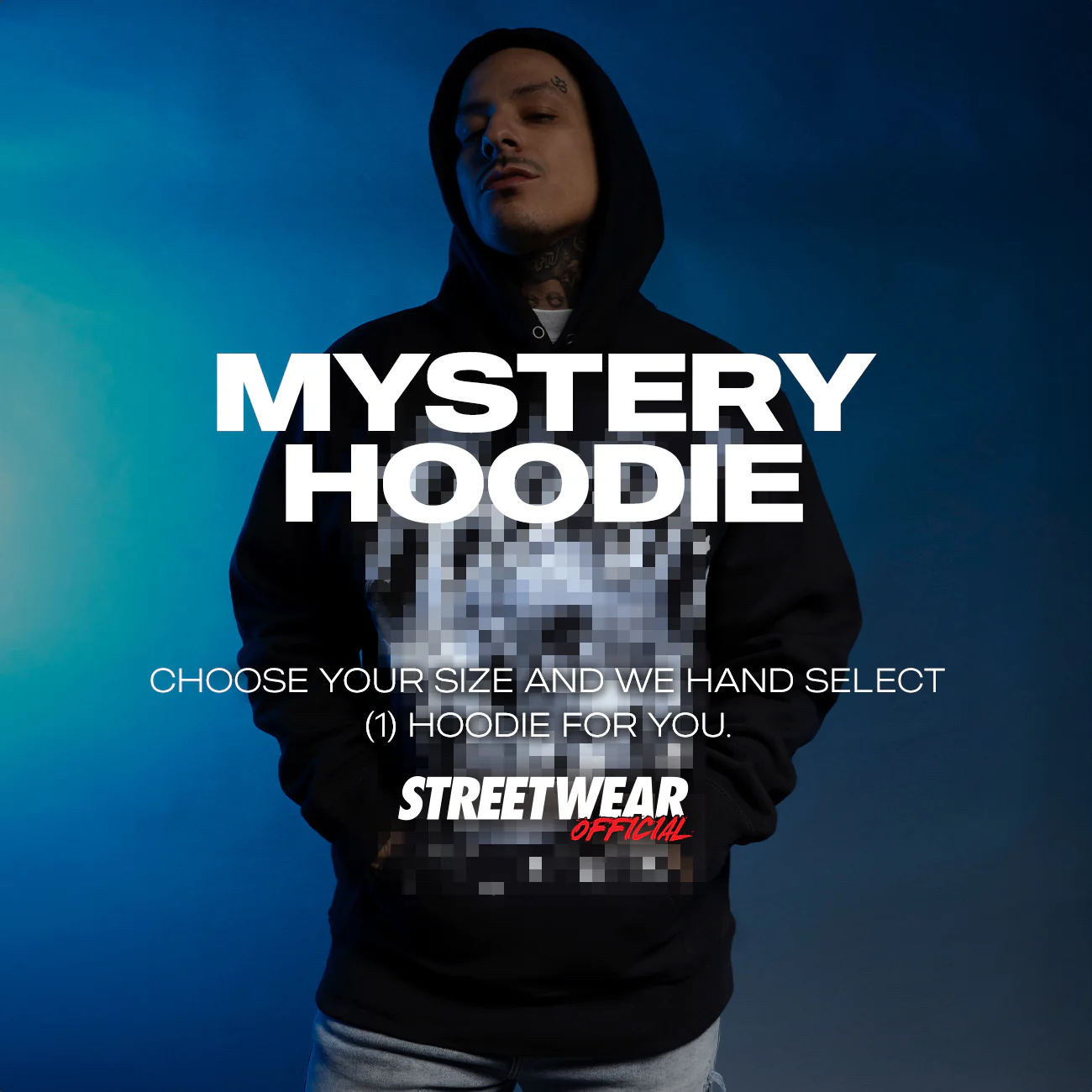 Image of Mystery Hoodie SWO