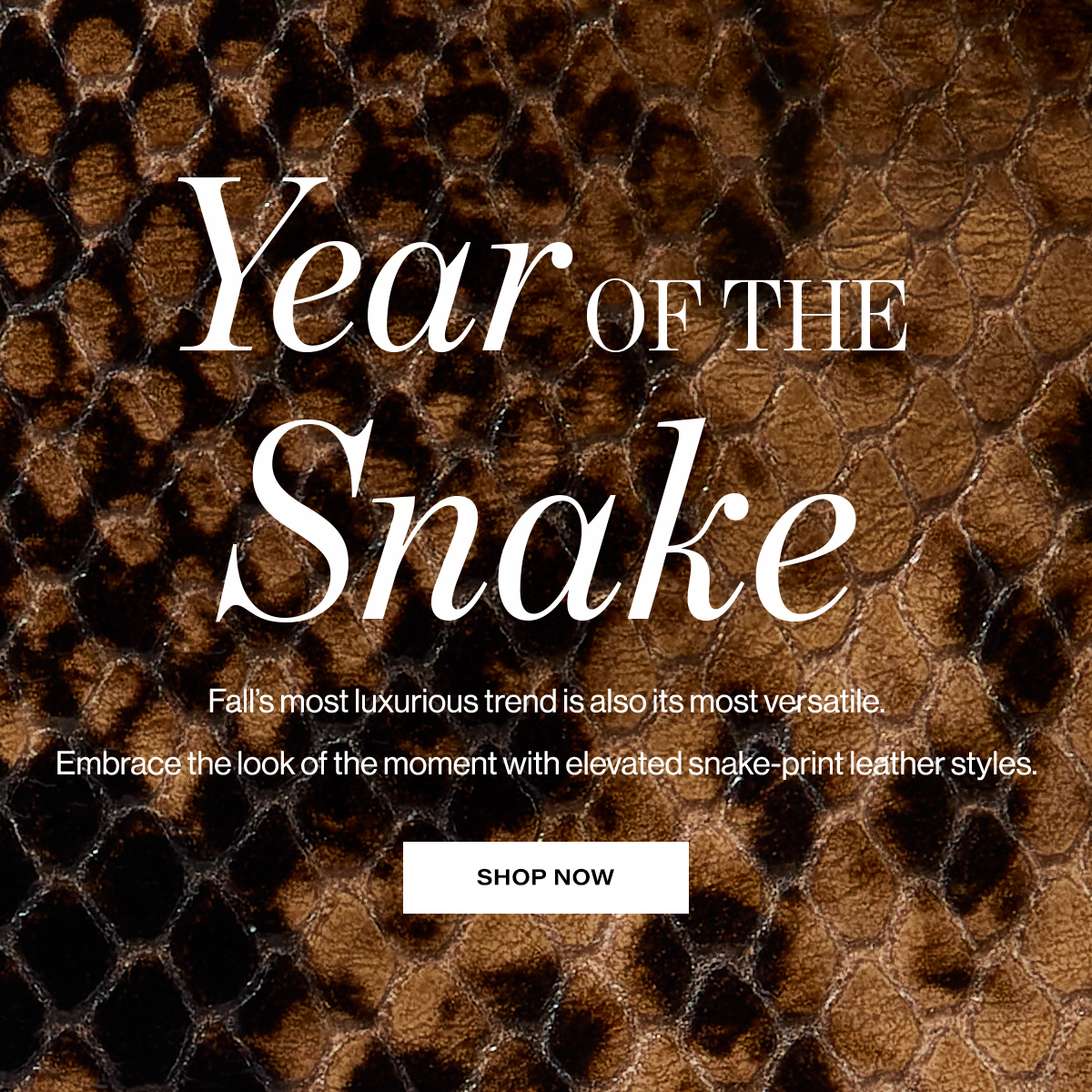 Year of the snake.Fall’s most luxurious trend is also its most versatile. Embrace the look of the moment with elevated snake-print leather styles. Shop Now
