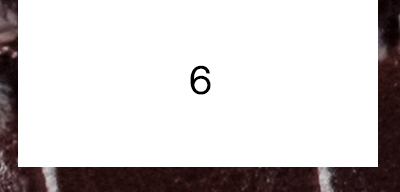 6