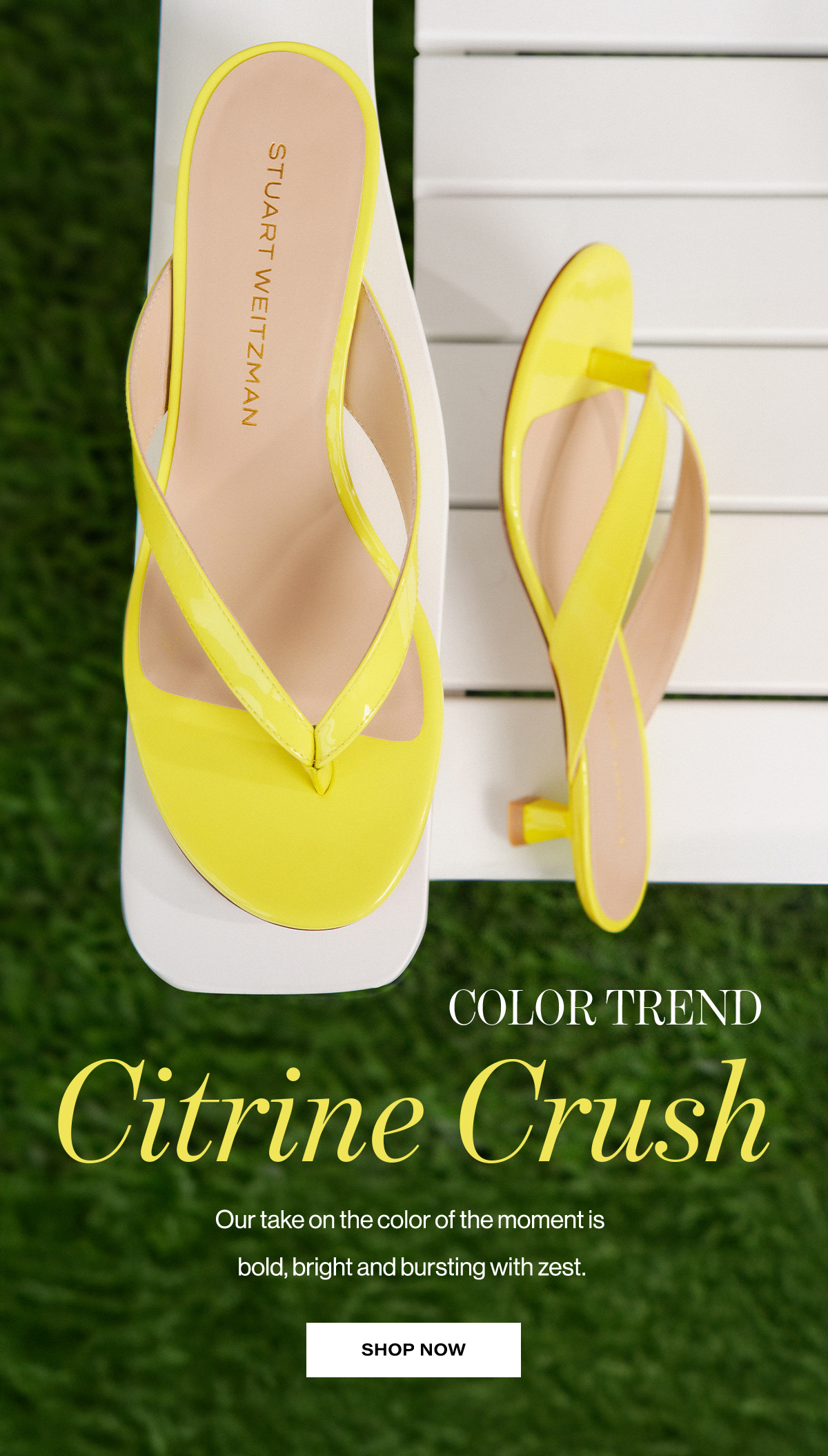 Color Trend Citrine Crush Our Take On The Color Of The Moment Is Bold, Bright And Bursting With Zest. Shop Now