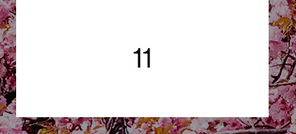 11