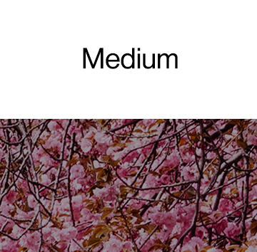 Medium