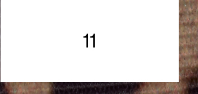11