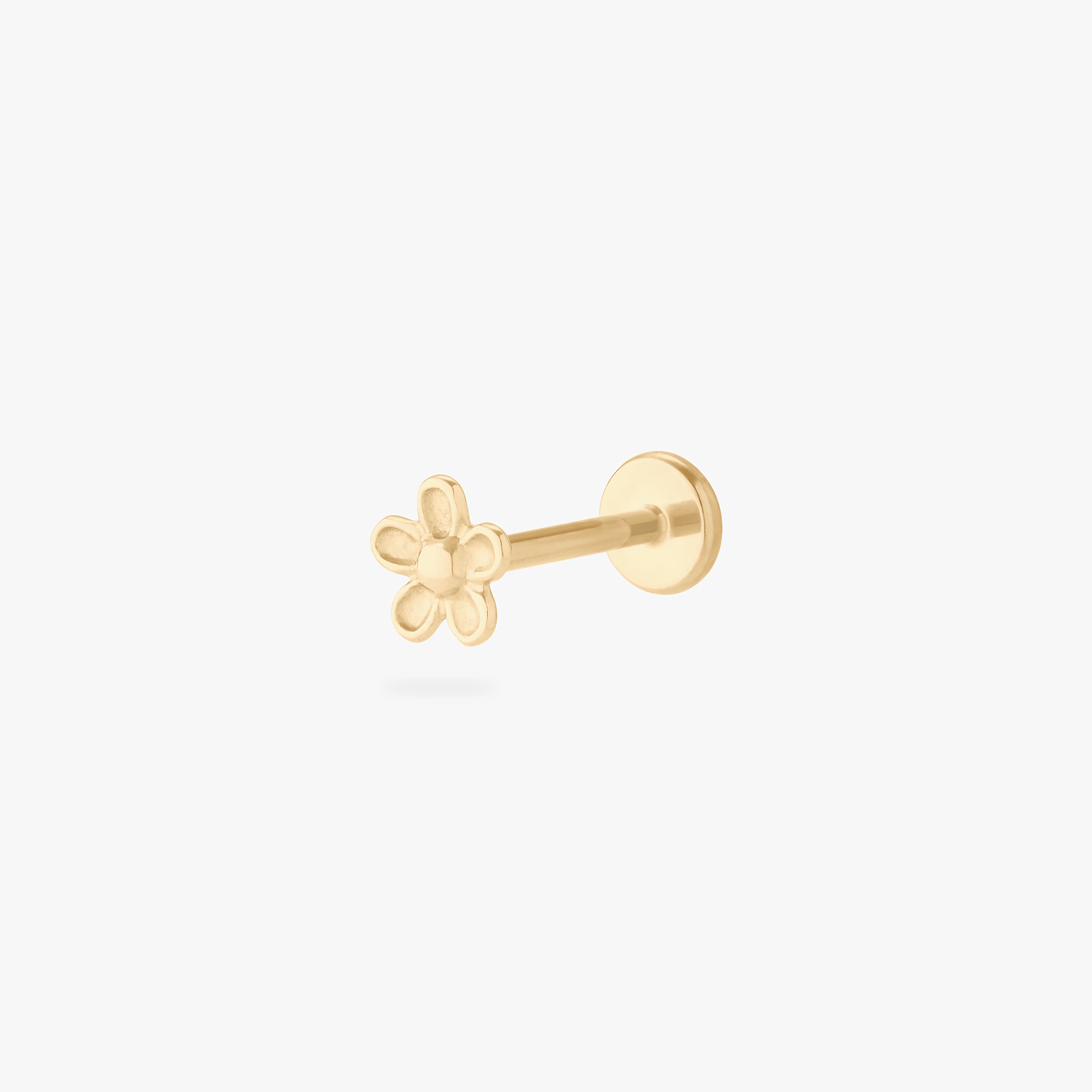 Image of 14K Daisy Flatback Stud