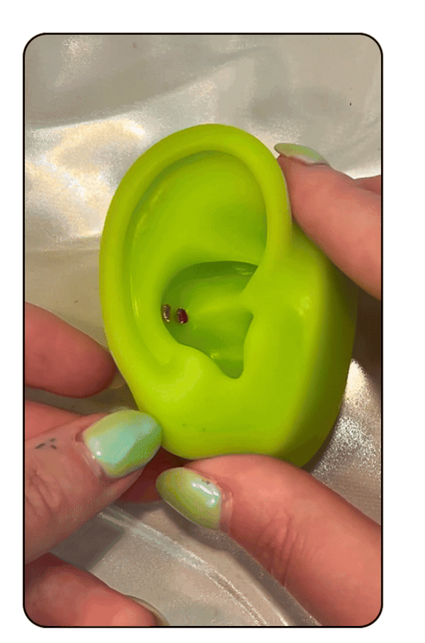 DOUBLE CONCH