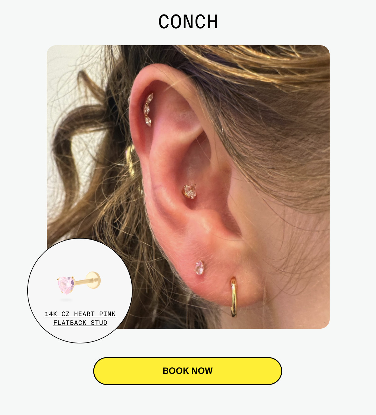 GOLD STANDARD: CONCH
