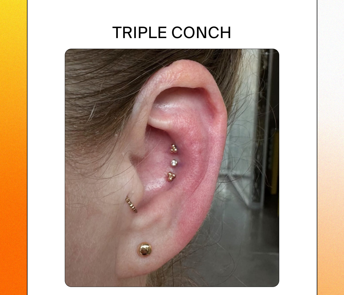 TRIPLE CONCH