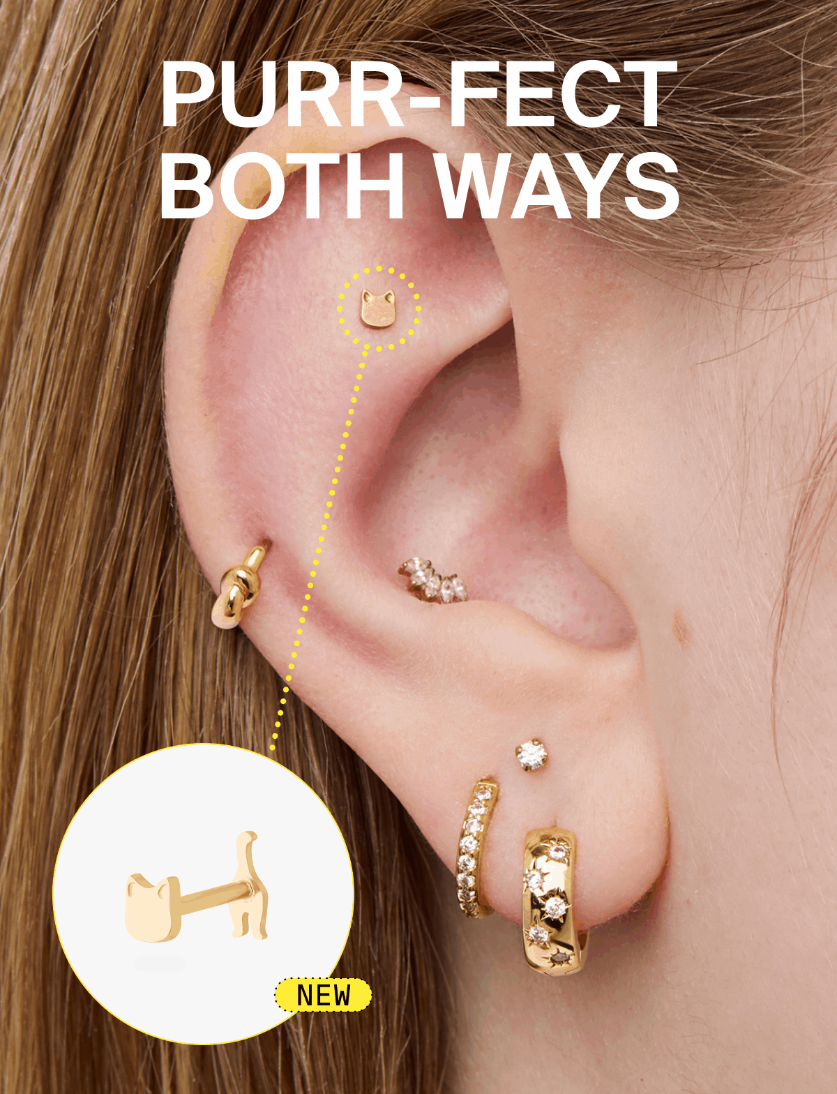 PURR-FECT BOTH WAYS