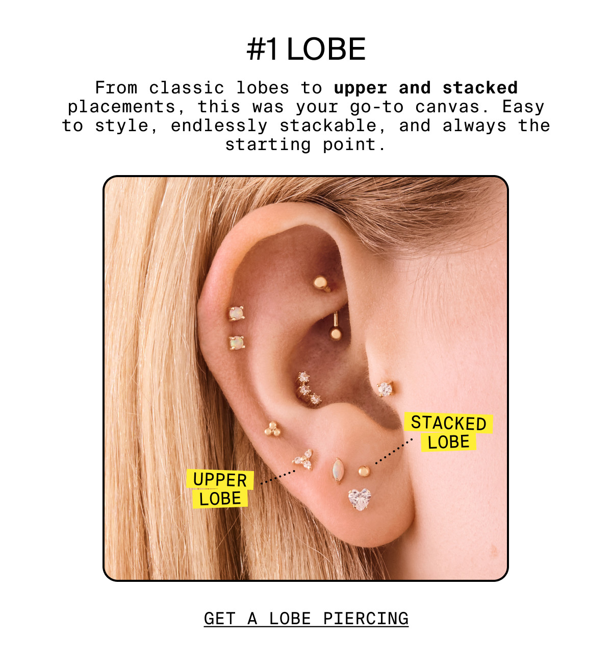 #1: LOBE