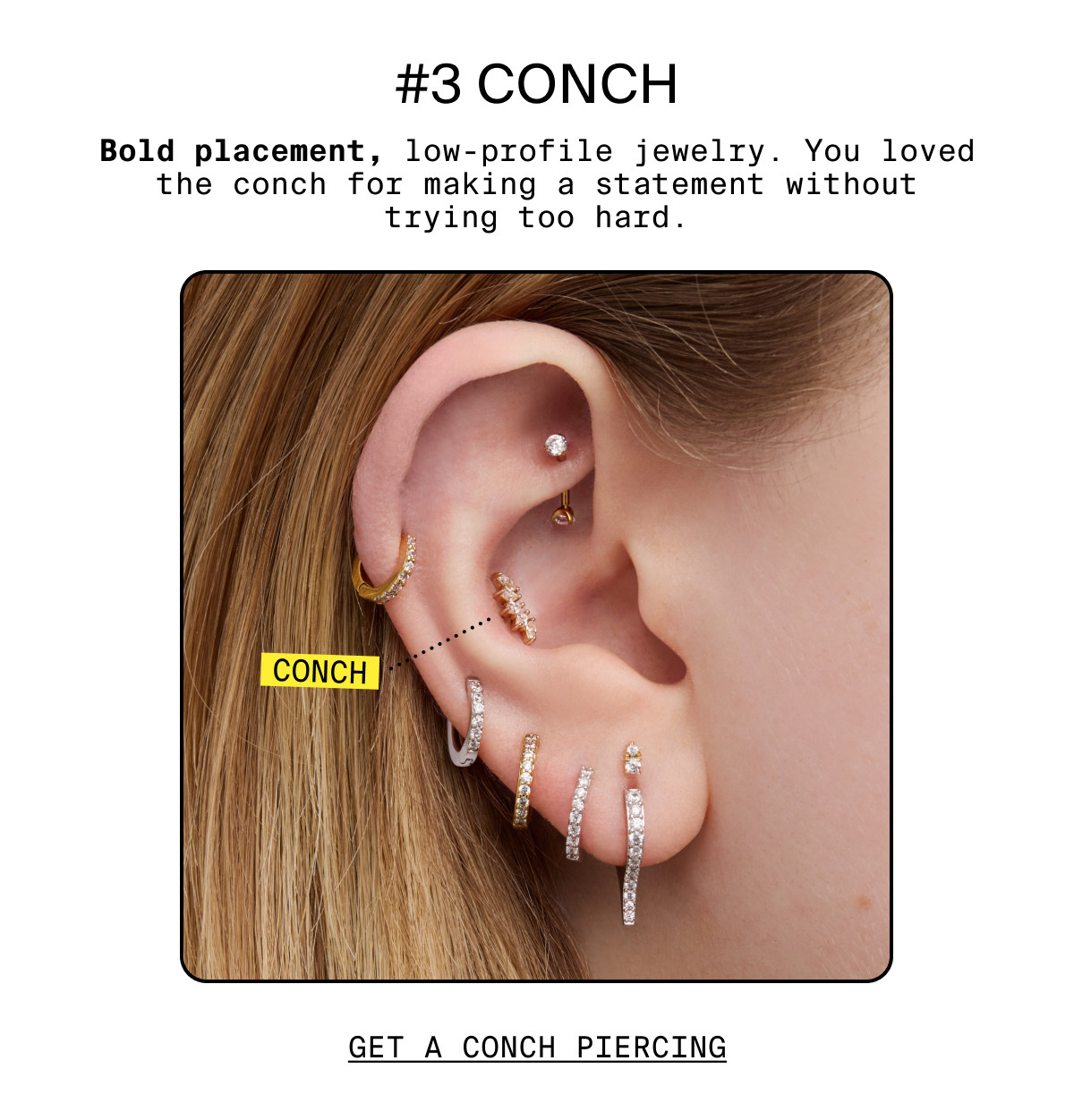 #3: CONCH