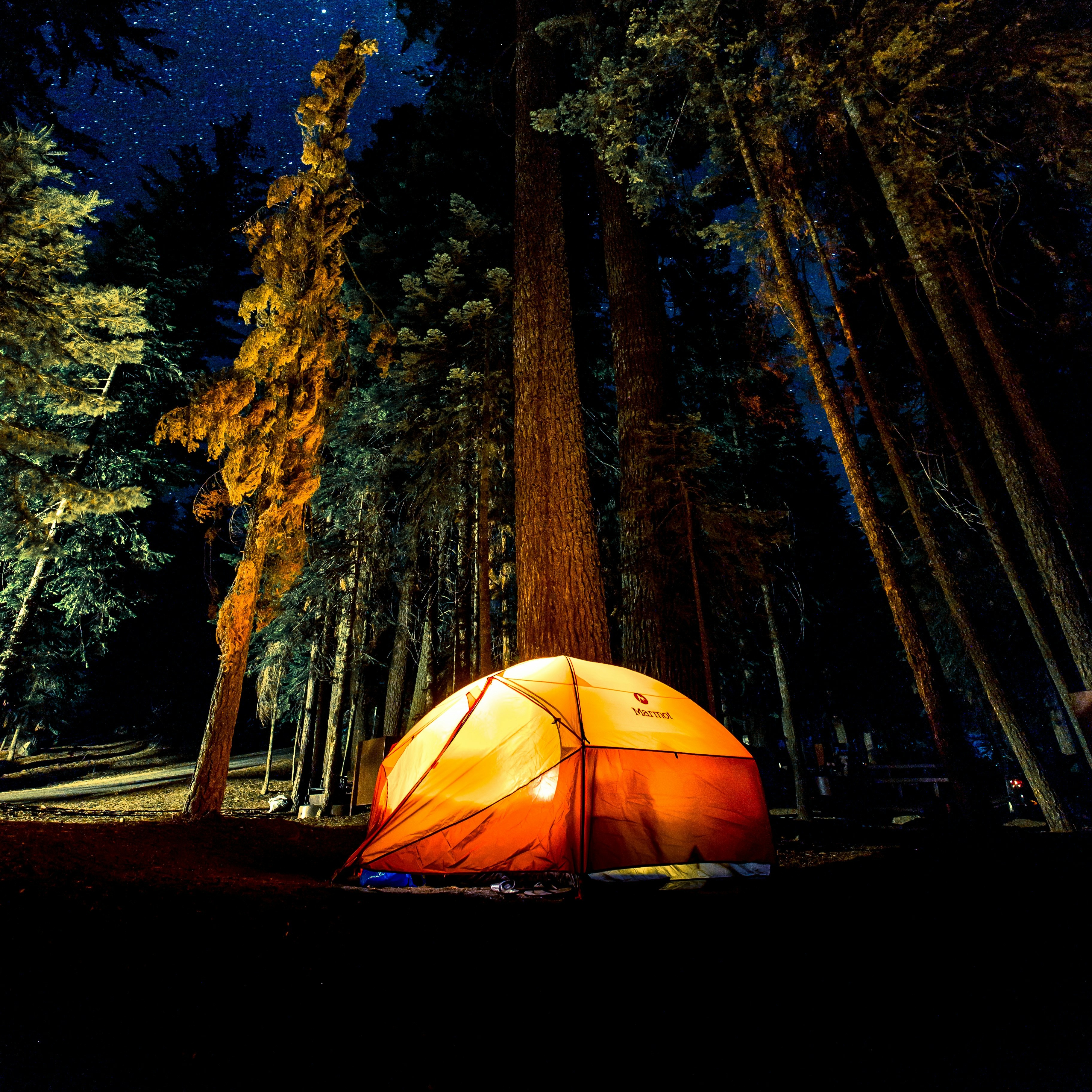 Camping Essentials Navigation Tools: stay on track wherever you roam. First Aid: be prepared for bumps, bites and scrapes.