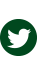 Twitter icon
