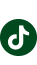 TikTok icon