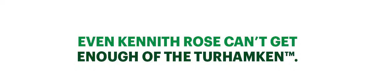 Promotional image for the new Festive subs. Text emphasizes the new subs, Festive Turkey, Turkhamken, and Chicken. The tone is friendly and inviting encouraging the guest to try the new Festive collection, with the theme geared toward the holidays.