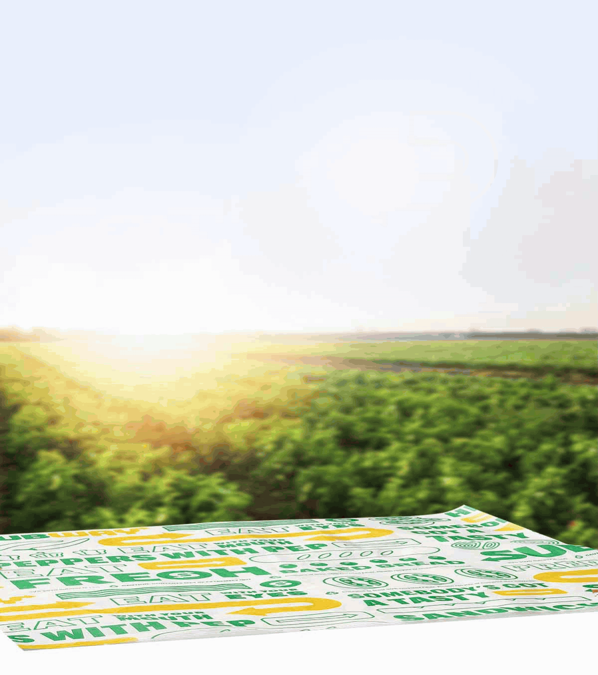 Promotional Subway email featuring a selection of fresh vegetables and sandwiches. The top section displays the headline “Great Subs Start With Great Ingredients” in bold green and yellow text, with two large subs on a branded wrapper. Below, a yellow button reads “Get Yours Today.” The middle section shows a crate of fresh vegetables labeled “Subway,” alongside text: “Nutritious, quality ingredients” and “Crisp, clean and carefully prepped for you.”. Nearby are individual ingredients like tomato, cucumber, onion, bread, and lettuce. Further down, two stacked subs appear with the caption “To keep you satisfied and energized.” Another yellow button says “Get Yours Today.” The bottom section highlights bread preparation with text: “Our day begins when we fire up the bread oven,” describing fresh-baked bread for flavorful goodness.
