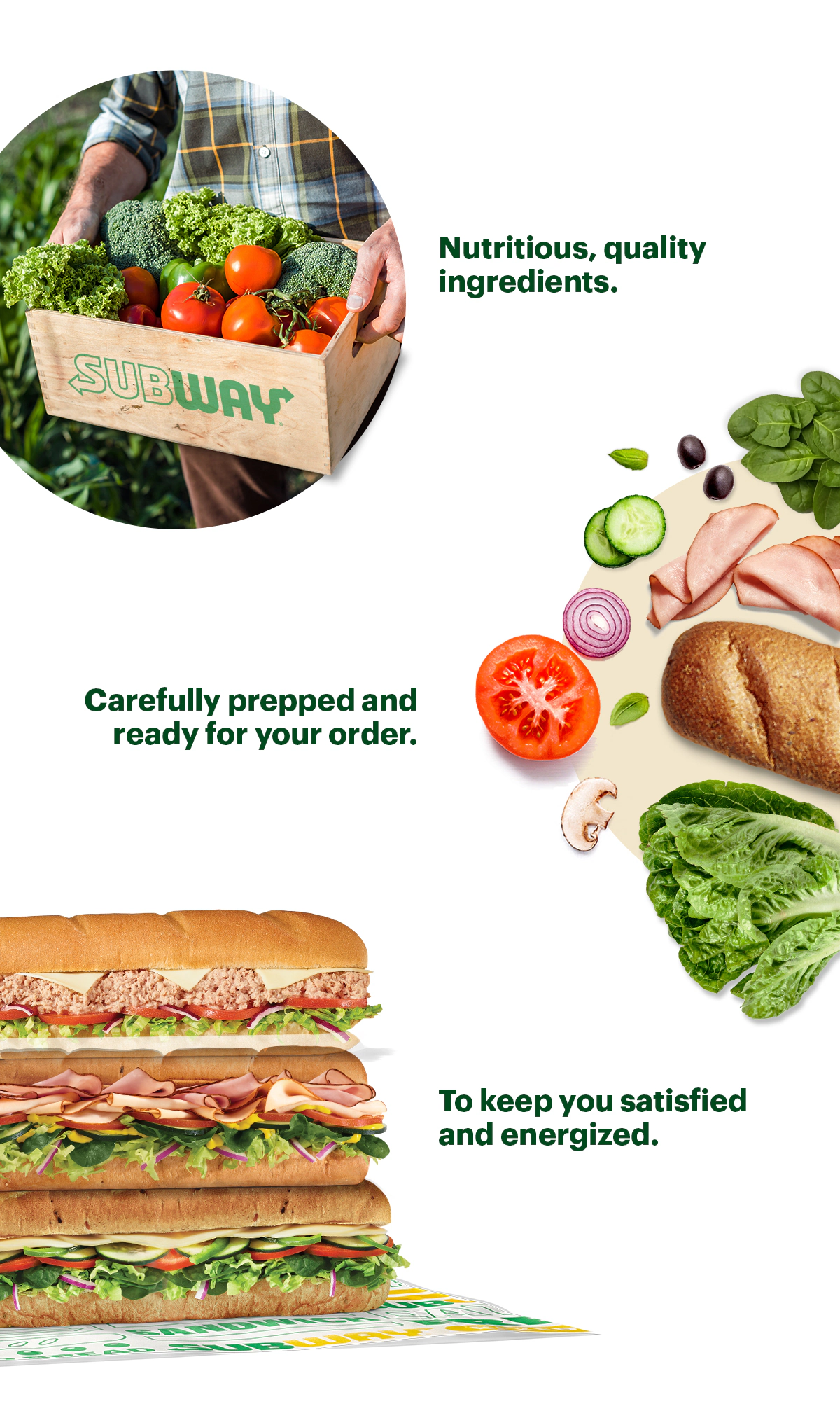 Promotional Subway email featuring a selection of fresh vegetables and sandwiches. The top section displays the headline “Great Subs Start With Great Ingredients” in bold green and yellow text, with two large subs on a branded wrapper. Below, a yellow button reads “Get Yours Today.” The middle section shows a crate of fresh vegetables labeled “Subway,” alongside text: “Nutritious, quality ingredients” and “Crisp, clean and carefully prepped for you.”. Nearby are individual ingredients like tomato, cucumber, onion, bread, and lettuce. Further down, two stacked subs appear with the caption “To keep you satisfied and energized.” Another yellow button says “Get Yours Today.” The bottom section highlights bread preparation with text: “Our day begins when we fire up the bread oven,” describing fresh-baked bread for flavorful goodness.