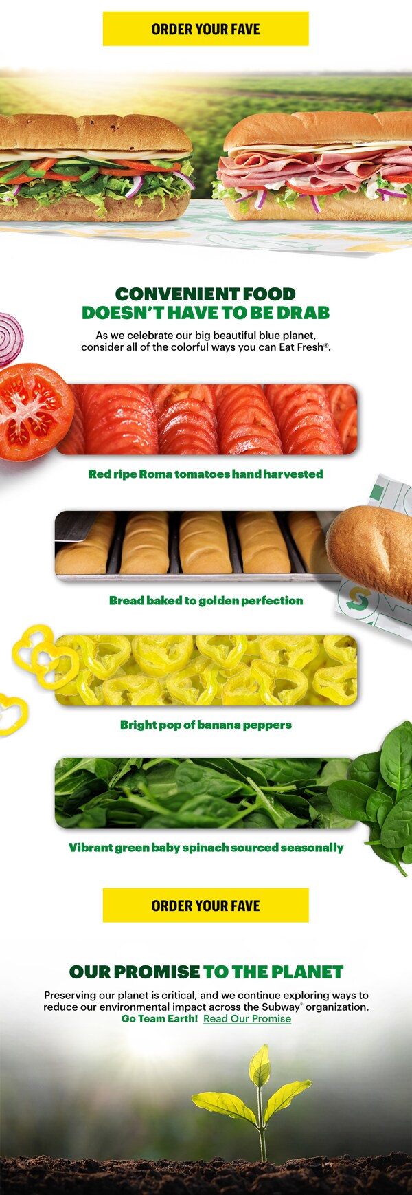 Subway® Earth Day promotional email featuring colorful fresh vegetables, two Footlong subs, and text about celebrating Earth Day with fresh‑made goodness. Includes images of sliced tomatoes, baked bread, banana peppers, and spinach. Two yellow ‘Order Your Fave’ buttons appear. The bottom section highlights Subway’s environmental promise, shown above a small plant sprouting from soil.