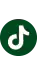 TikTok icon