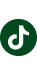 TikTok icon