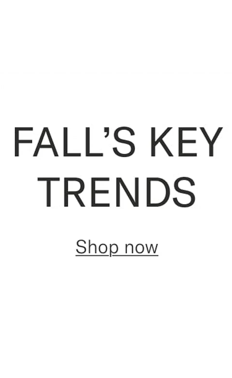 Key Fall's Trends