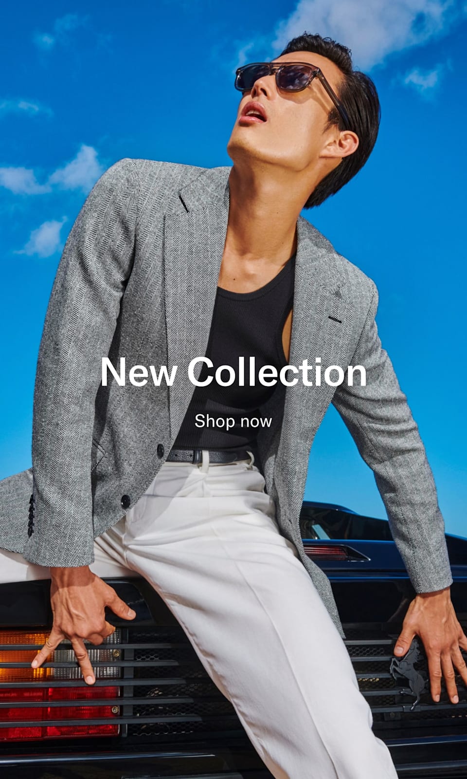 New Collection