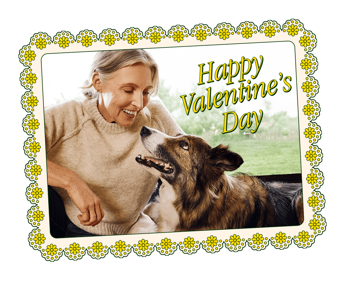 Dog with parent