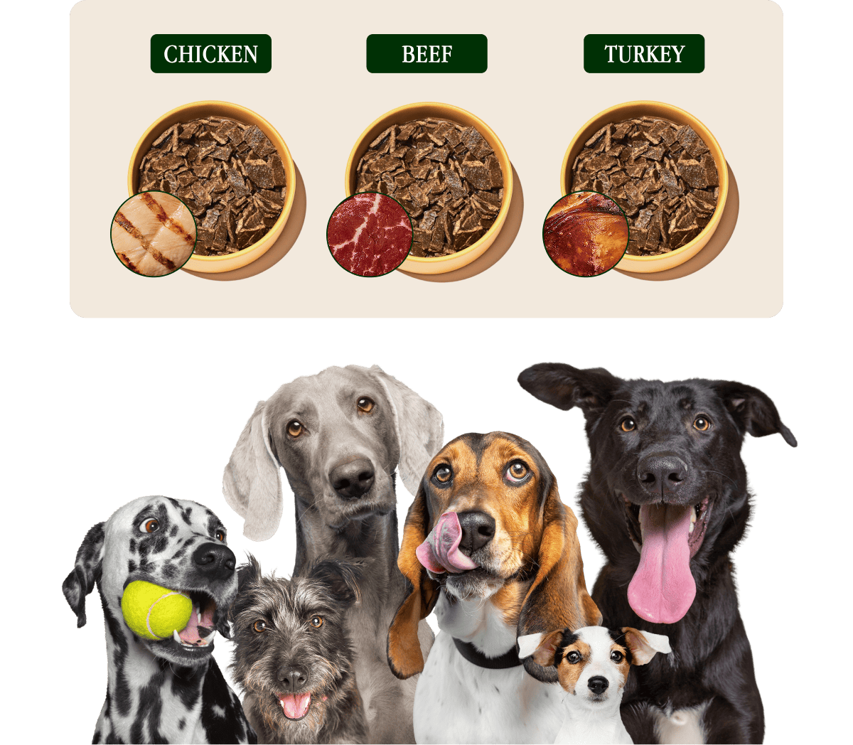 Sundays for Dogs food