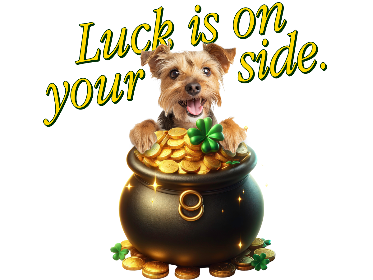 Dog with a pot of gold