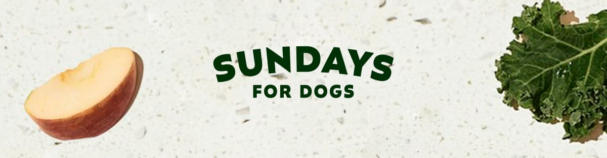 Sundays for Dogs