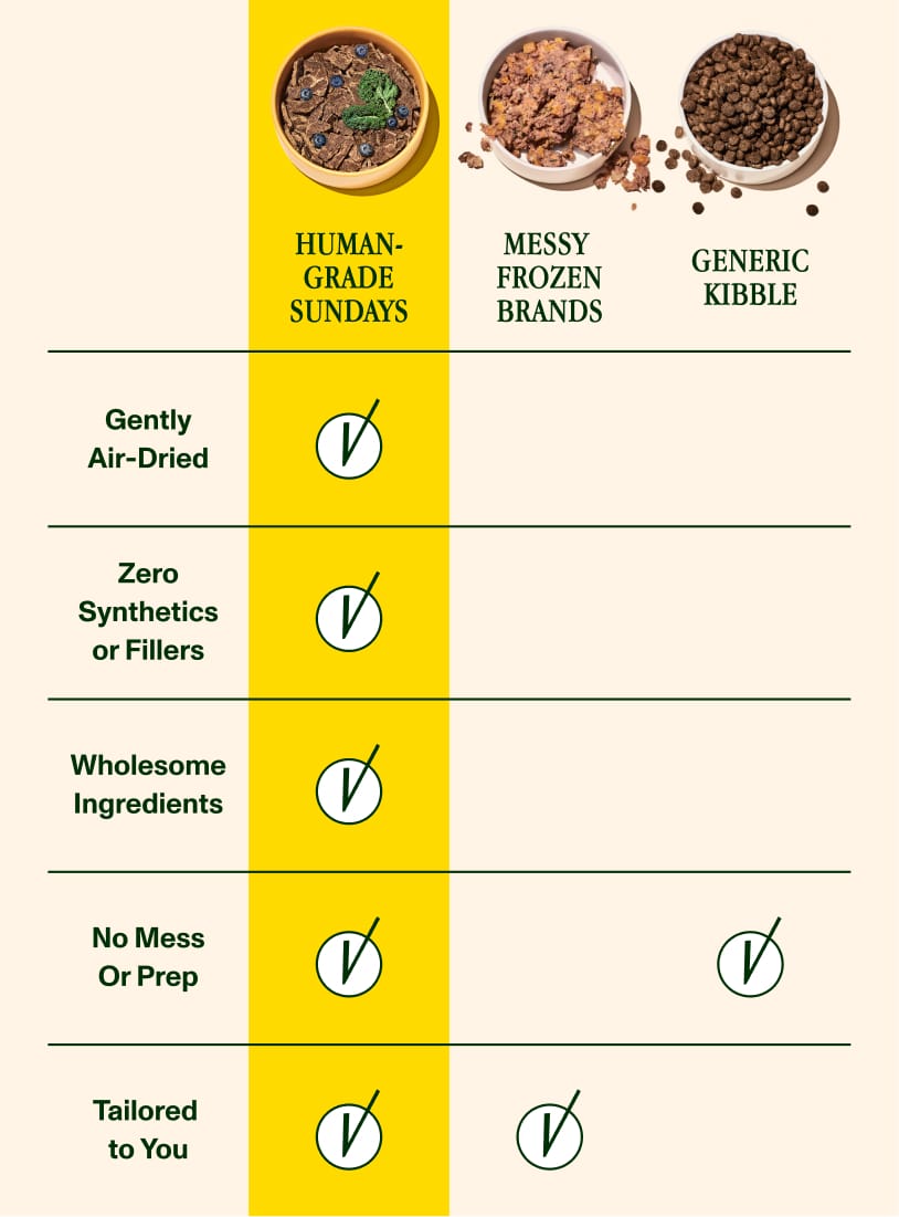 Sundays for Dogs is the best messy frozen brands and generic kibble.