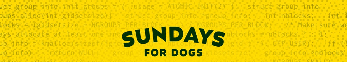 Sundays for Dogs